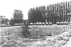 01. CCC. Attentat contre MAN. 3 octobre 1984.